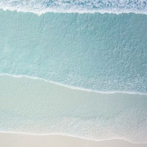 Meet your Posher, Marlene